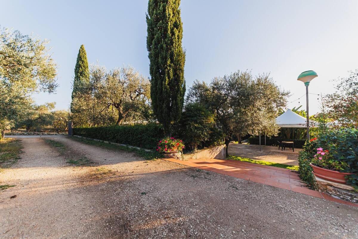 Countryhouse Gli Ulivi Modugno Exterior foto